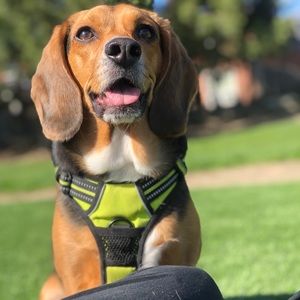 Meet your Posher, Cindy